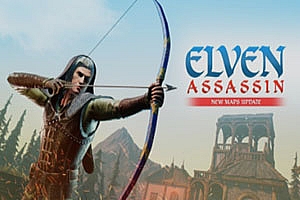 精灵射手  Elven Assassin