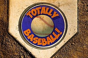 完美棒球  TOTALLY BASEBALL