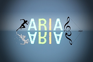 箭影VR Aria