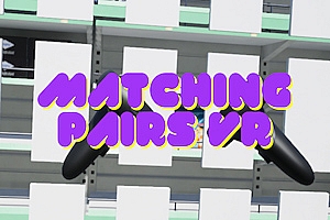 配对 VRMatching Pairs VR