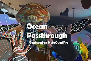 海洋穿越  Ocean Passthrough