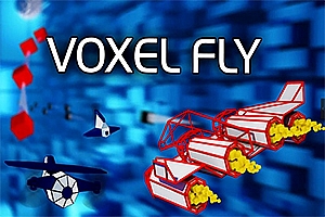 体素飞  Voxel Fly