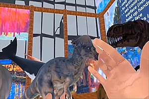 ZOSU动物园  ZOSU Zoo