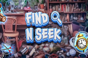 寻物大挑战  Find N Seek