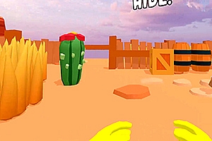 捉迷藏  Hide n Seek