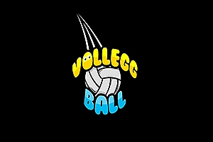 排球  Volleggball